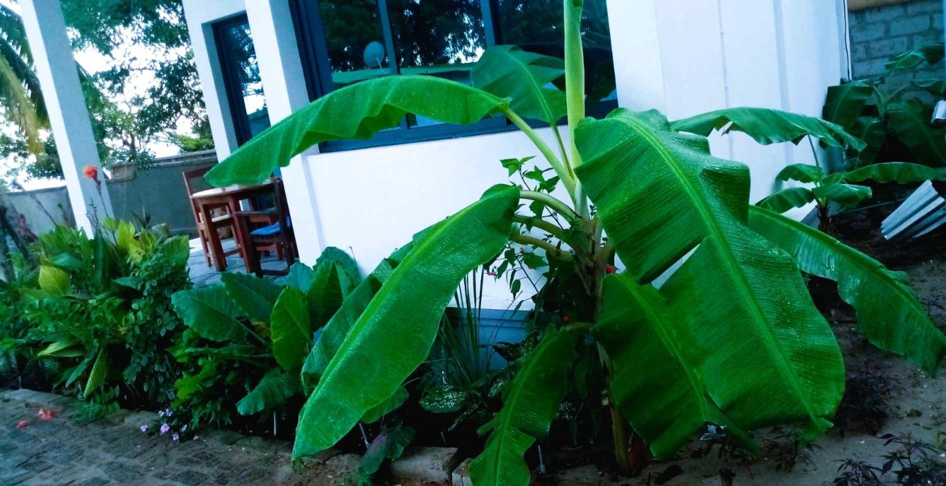 Bungalow Ramena Beach Antsiranana Andjamen Esterno foto